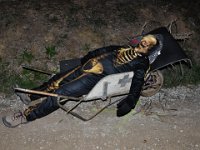 6 trouilles Cathy-19